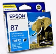 EPSON EPSON T0872 INK CARTRIDGE CYAN R1900 1040174