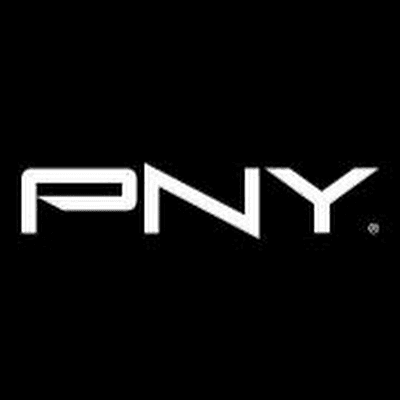 PNY PNY 256GB CS1031 M.2 2280 PCIE NVME SSD 5350684