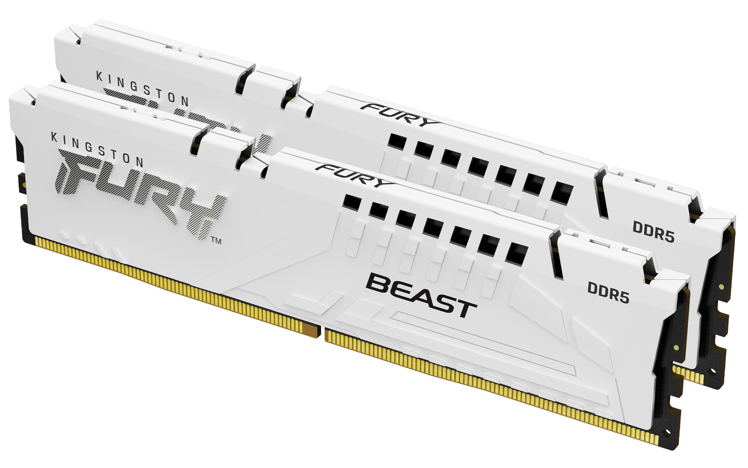 KINGSTON KINGSTON 64GB DDR5-5600MT/s CL40 DIMM (Kit of 2) 5739820