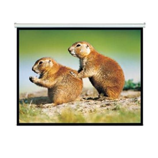 Brateck BRATECK 150' Projector Screen, Manual Self Locking, Matte Finish. PRS150M