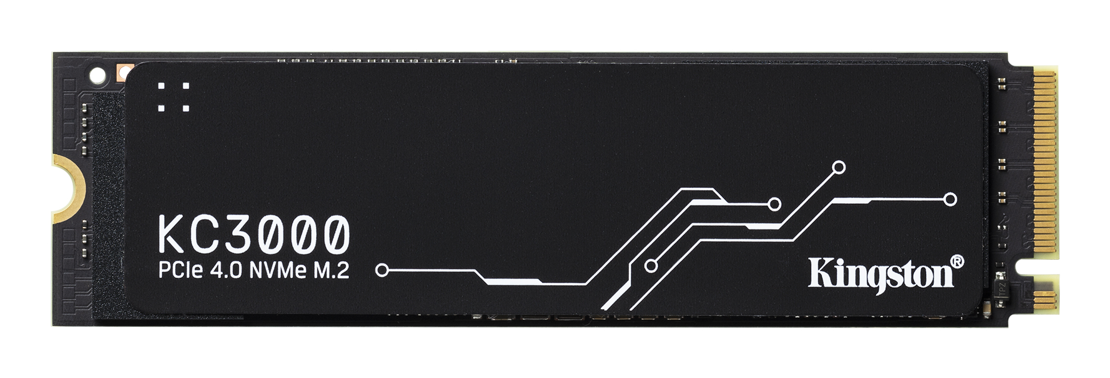 KINGSTON Servers & Storage