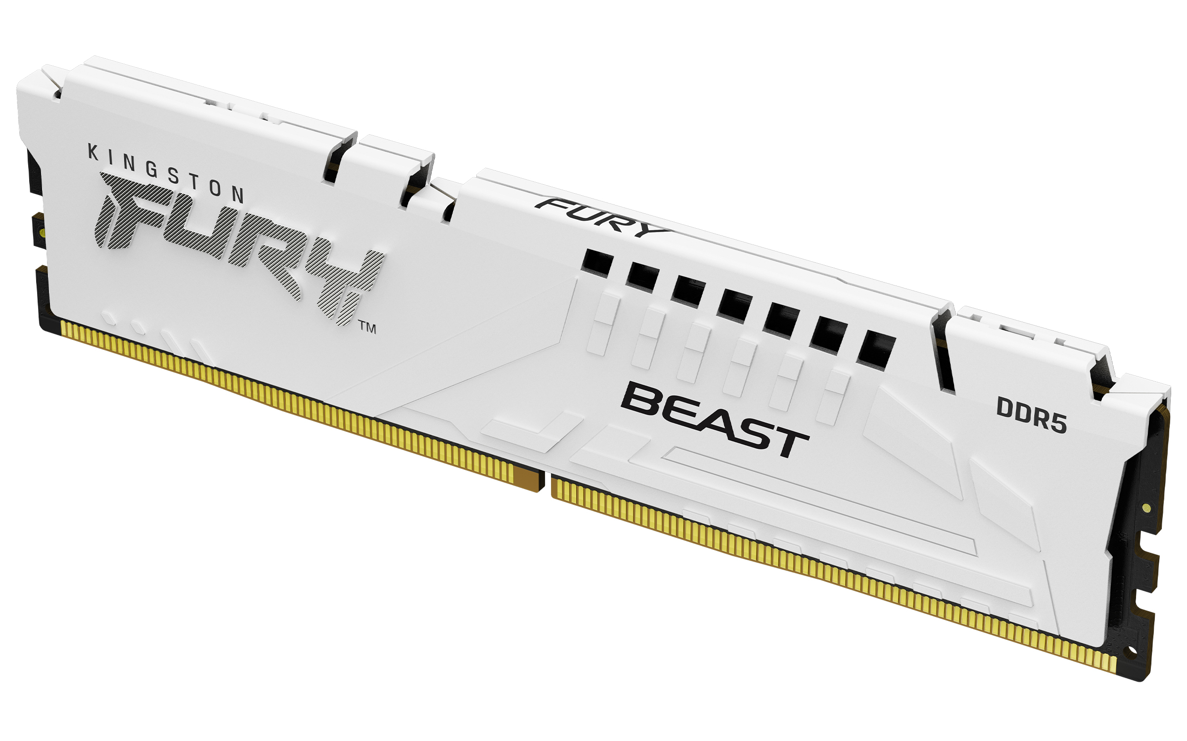 KINGSTON 16GB DDR5-5600MT/s CL36 DIMM FURY Beast — KINGSTON
