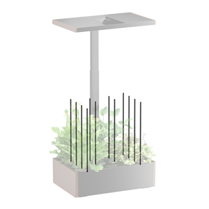 Digitus Furniture & Ergonomics